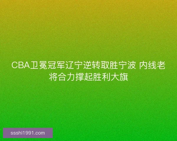 CBA卫冕冠军辽宁逆转取胜宁波 内线老将合力撑起胜利大旗