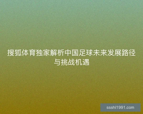 搜狐体育独家解析中国足球未来发展路径与挑战机遇